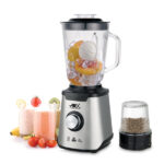 Anex 6130 Blender Grinder – Silver