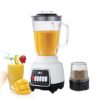 Anex 6136 Blender Grinder – White